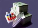 Benzyl Penicillin ELISA Test Kit